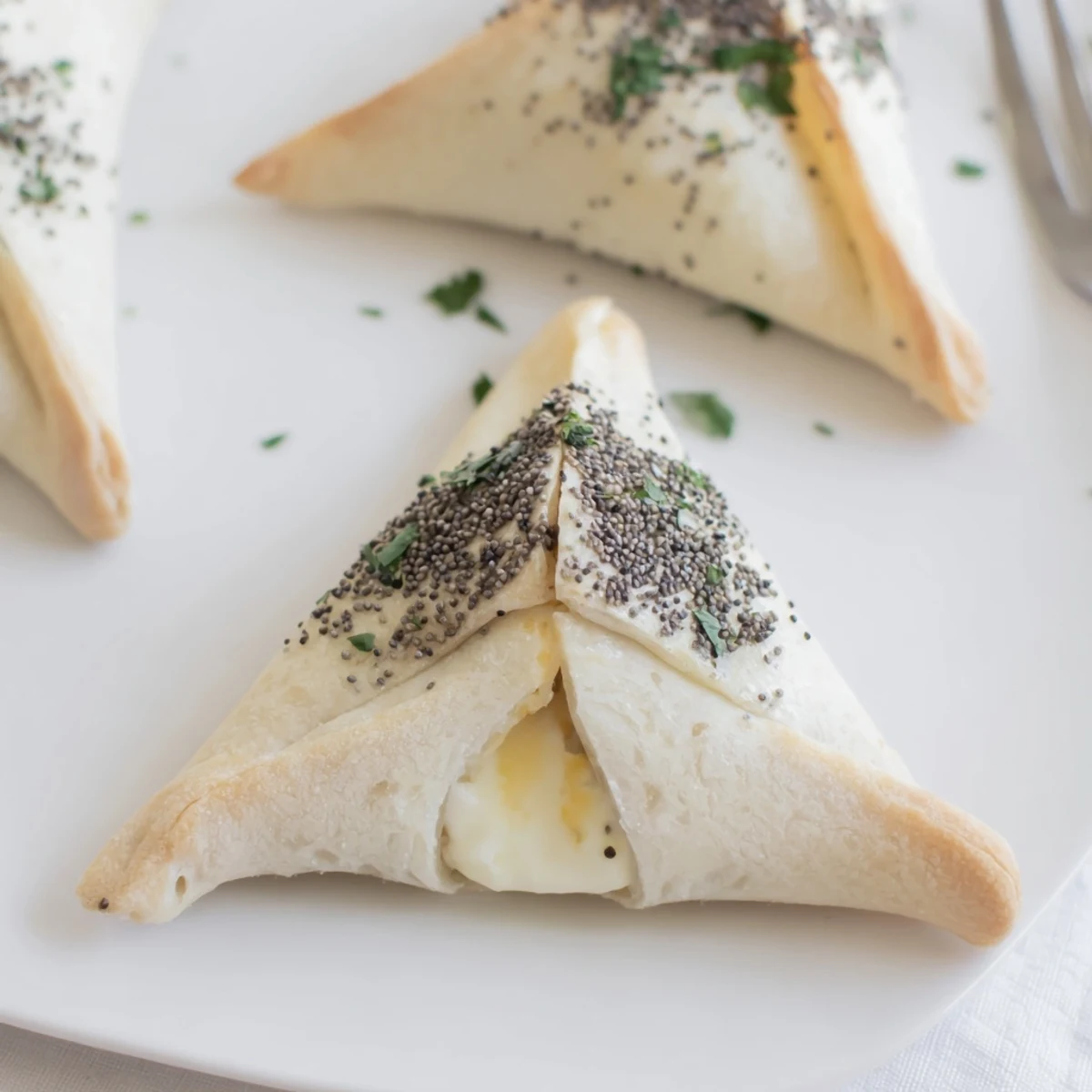 Freshly baked, warm triangles with parsley and olives, Cheese Fatayer Recipe